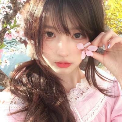 大树之歌海报